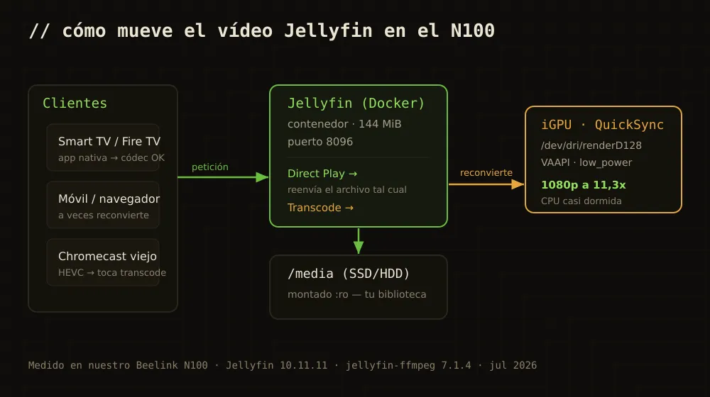 Diagrama de cómo Jellyfin en Docker usa la gráfica Intel del N100 para transcodificar por VAAPI