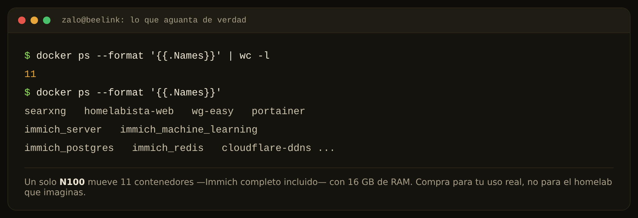 Salida de docker ps en nuestro N100, recompuesta para que se lea: 11 contenedores en marcha, incluida la pila completa de Immich