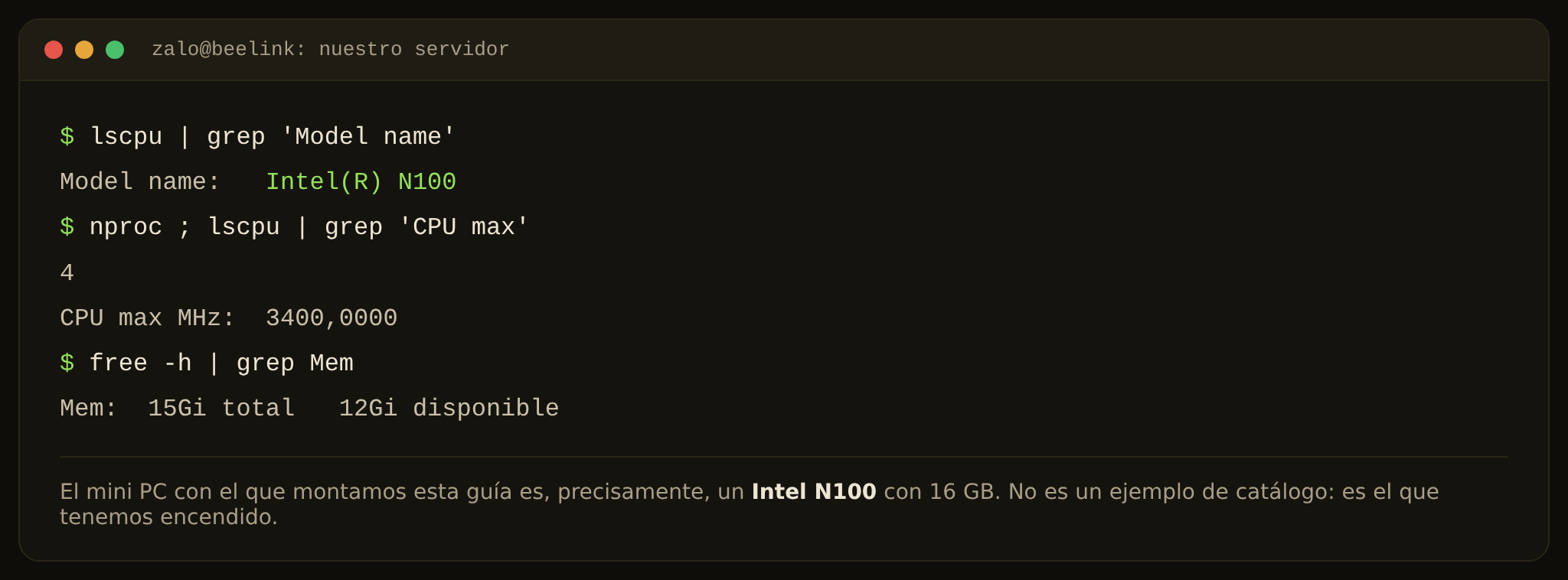 Salida de lscpu de nuestro servidor, recompuesta para que se lea: modelo Intel N100, 4 núcleos y 16 GB de RAM