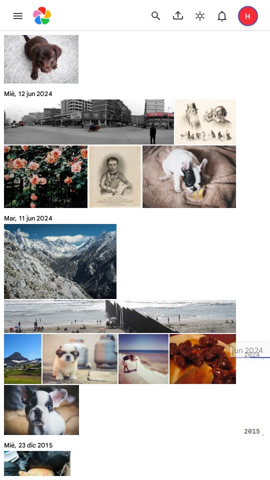 La galería de Immich con las fotos organizadas por fecha, igual que en Google Fotos